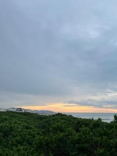 Alexander Resort - 2