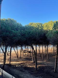 Alexander Resort - 1