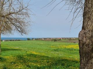 Apartment Bonaca - 1