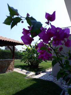 Seaside Villa in Chalkidiki - Possidi - 3