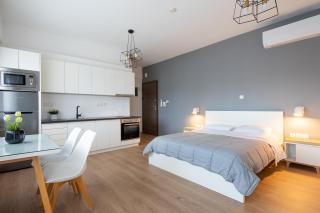Boutique Studios near Airport - Pallini - 8