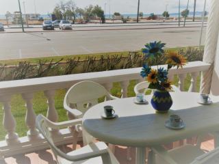 Apartamento en primera línea de mar con parking, cerca del centro y de la playa de Empuriabrava - ES-228-179 - Empuriabrava - 8