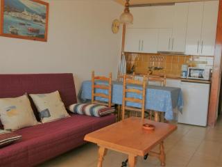 Apartamento en primera línea de mar con parking, cerca del centro y de la playa de Empuriabrava - ES-228-179 - Empuriabrava - 7