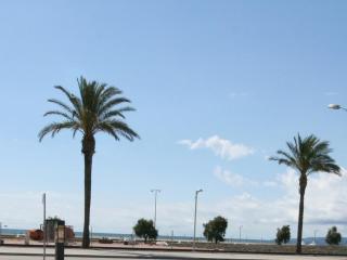 Apartamento en primera línea de mar con parking, cerca del centro y de la playa de Empuriabrava - ES-228-179 - Empuriabrava - 3