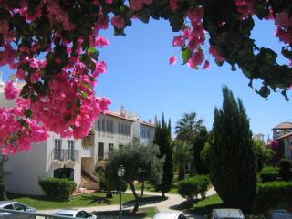 Old Village Studio - 3