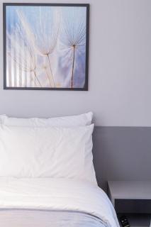 Apartamento DSG 1 Suíte e com Sofa Cama Casal - São Paulo - 2