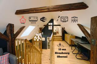 Alsace Gîte 3 étoiles "Coeur de Cigogne" - 15mn Strasbourg Obernai - Clim Wifi Parking gratuit - Hangenbieten - 8