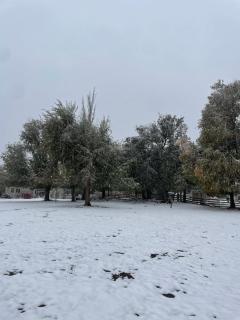 Cabaña Manzano Historico Punta Negra Lodge 1 - 6