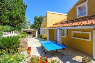 Villa Avgusta - Agnítsini - 6