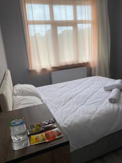 Airport Forest Room - 7