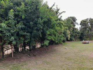 Casa chacra campo en victoria entre rios - 1