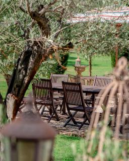 Mas des Comtes de Provence - Tarascon - 7