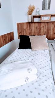 Willa Sowia nowy apartament z prywatnym tarasem i widokiem na góry - 2