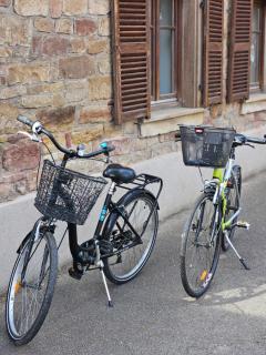 GITES DES ALSACIENNES - loft climatisé dans une maison alsacienne de plus de 400 ans - 2 vélos inclus - WIFI - Dachstein - 4