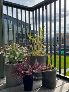 Suburbs of Reykjavík, new beautiful apartment, next door to nature - 9