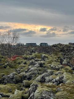 Suburbs of Reykjavík, new beautiful apartment, next door to nature - 5