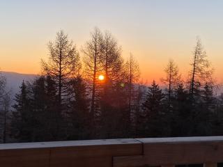 Almhütten Skorianz- Die Grüne Hirschhütte - 7