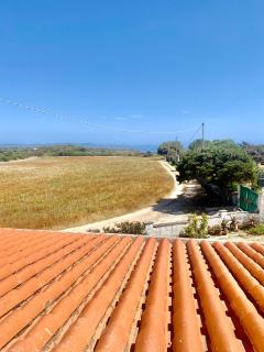 Sweet Home Spalmatore - Carloforte - 3