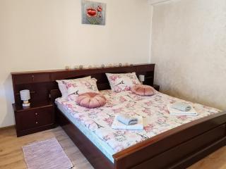 Apartman Nana - Gornji Milanovac - 9