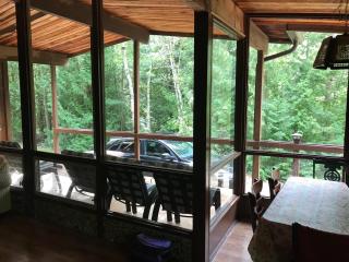 Ipperwash Beach Cottage - Lambton Shores - 7