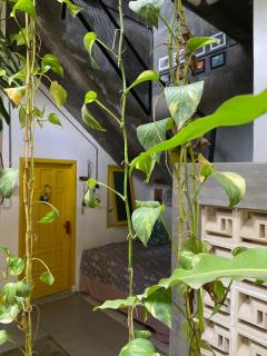 Banana Homestay - 1