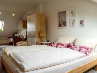 Gemütliches Appartement in MG - Mönchengladbach - 8