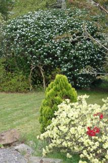 Stylish Scottish Manor, Coillemore House - 3