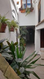 Apartamento en el casco histórico - Tarifa - 1