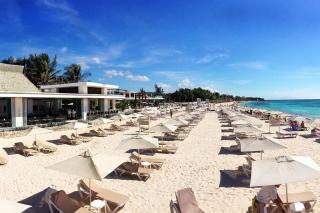 2Br apart steps from mamitas beach and 5th av - Playa del Carmen - 7