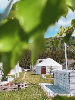 Glamping Iurte Mongole Spiritul Zimbrului - Vama Buzăului - 7