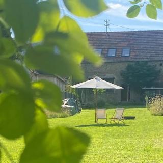 Schockelgaul – Parterre - 0