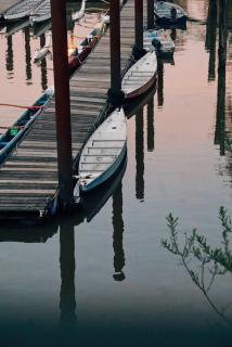 Fort Langley Homestead - 4