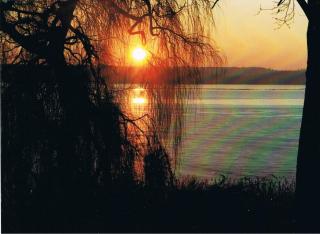 Haus Seeperle E - Plau am See - 5