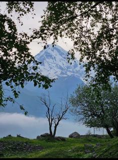Crystal Kazbegi - 3