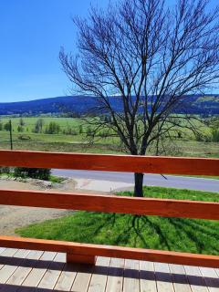 Domek w Lasówce - 9