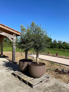 Maison Cabet - Castelnavet - 4