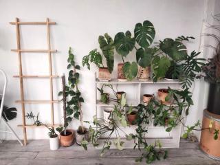 Garden T Home - Bang Su - 7