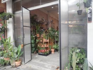 Garden T Home - Bang Su - 4