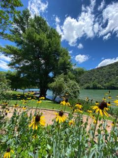 Lake Austin Spa Resort - All Inclusive - Austin - 5