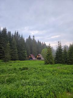 Oaza Jela - Mitrovac - 9