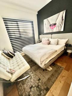 Chic apartment in la ROMA - 9