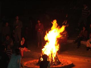Campfire Haven: A Coffee Plantation Retreat - Madikeri - 0
