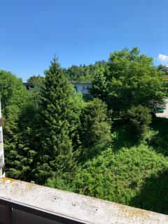 Panoramahaus Apartment 7152 - Bad Reichenhall - 1