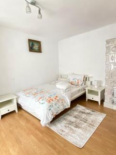 Mountain Countryside House & Courtyard near Sibiu - Orlat - 2