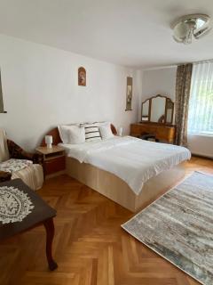 Mountain Countryside House & Courtyard near Sibiu - Orlat - 6