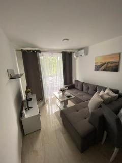 Apartman Vujcic - 9