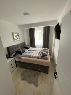 Apartman Vujcic - Veliko Gradište - 5