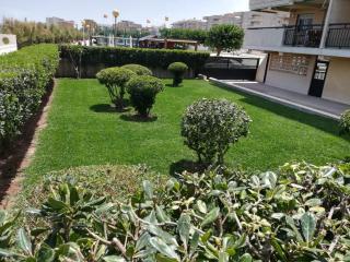 Gandia Daimuz - 2