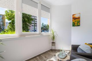 Springhome - Cozy Apartment with Balcony & Parking - Braşov - 9