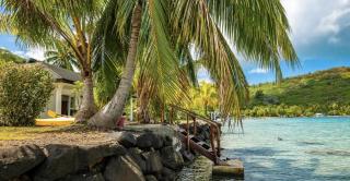 PARADISE - Bora Bora - 8